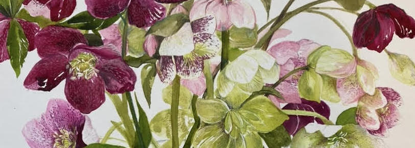 HELLEBORES – MIXED MEDIA PAINTING Workshop